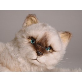 http://animalprops.com/407-thickbox_default/sassy-seal-point-himalayan-cat-stuffed-plush-animal-display-prop.jpg