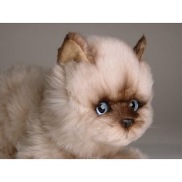 http://animalprops.com/410-thickbox_default/octavia-seal-point-himalayan-cat-stuffed-plush-animal-display-prop.jpg