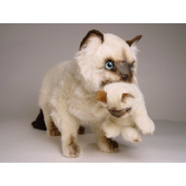 http://animalprops.com/423-thickbox_default/elizabeth-james-siamese-cat-stuffed-plush-animal-display-prop.jpg
