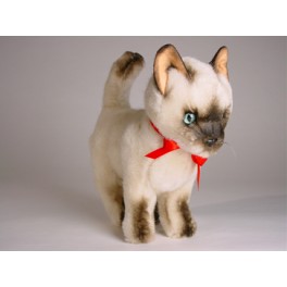 http://animalprops.com/426-thickbox_default/ling-ling-siamese-cat-stuffed-plush-animal-display-prop.jpg
