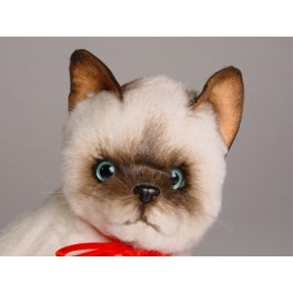 http://animalprops.com/429-thickbox_default/pyewacket-siamese-cat-stuffed-plush-animal-display-prop.jpg