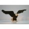 Jackson Eagle