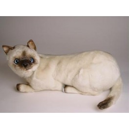 http://animalprops.com/432-thickbox_default/skippyjon-siamese-cat-stuffed-plush-animal-display-prop.jpg