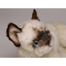 http://animalprops.com/435-thickbox_default/mrs-poodles-siamese-cat-stuffed-plush-animal-display-prop.jpg