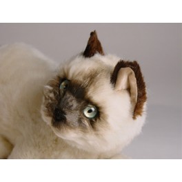 http://animalprops.com/441-thickbox_default/isaac-siamese-cat-stuffed-plush-animal-display-prop.jpg