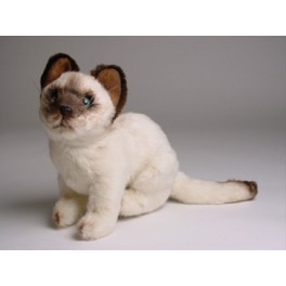 http://animalprops.com/444-thickbox_default/tao-siamese-cat-stuffed-plush-animal-display-prop.jpg