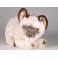 Siam Siamese Cat Stuffed Plush Animal Display Prop