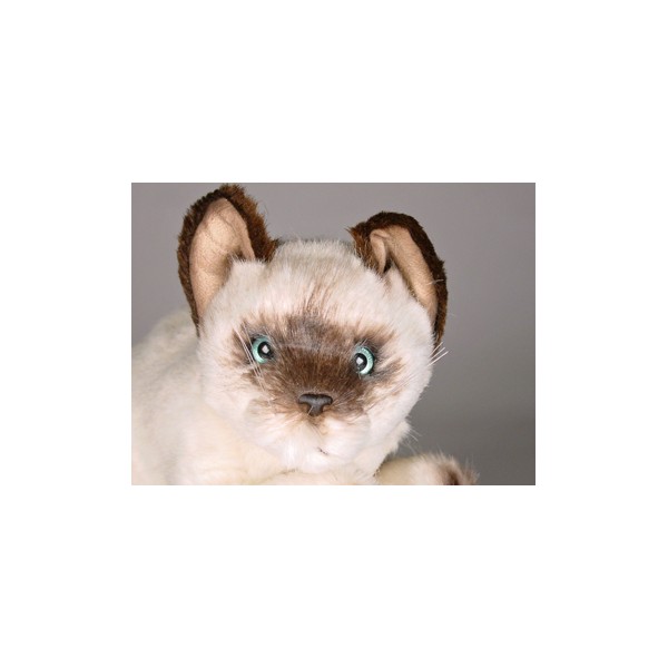 stuffed animal siamese cat