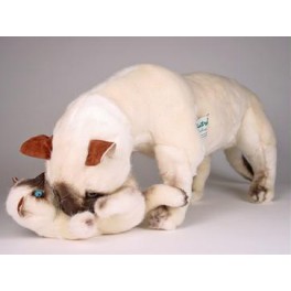 http://animalprops.com/450-thickbox_default/koko-scratchmi-siamese-cat-stuffed-plush-animal-display-prop.jpg