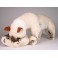 Koko & Scratchmi Siamese Cat Stuffed Plush Animal Display Prop