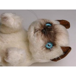http://animalprops.com/456-thickbox_default/scratchmi-siamese-cat-stuffed-plush-animal-display-prop.jpg
