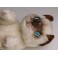 Scratchmi Siamese Cat Stuffed Plush Animal Display Prop