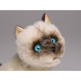 http://animalprops.com/459-thickbox_default/dc-siamese-cat-stuffed-plush-animal-display-prop.jpg