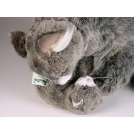 http://animalprops.com/462-thickbox_default/francesca-mia-soriano-venetian-cat-stuffed-plush-animal-display-prop.jpg