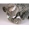 Francesca & Mia Soriano Venetian Cat Stuffed Plush Animal Display Prop