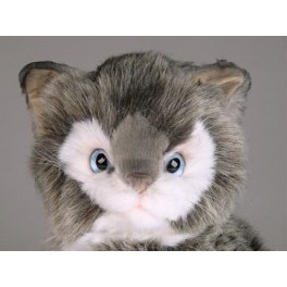 http://animalprops.com/465-thickbox_default/sophia-soriano-venetian-cat-stuffed-plush-animal-display-prop.jpg