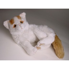 http://animalprops.com/483-thickbox_default/minnow-turkish-van-cat-stuffed-plush-animal-display-prop.jpg