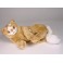 Little Fish Turkish Van Cat Stuffed Plush Animal Display Prop