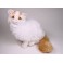 Yil Turkish Van Cat Stuffed Plush Animal Display Prop