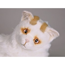 http://animalprops.com/501-thickbox_default/yumuk-turkish-van-cat-stuffed-plush-animal-display-prop.jpg