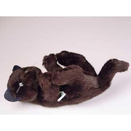 http://animalprops.com/507-thickbox_default/bombay-black-cat-stuffed-plush-animal-display-prop.jpg