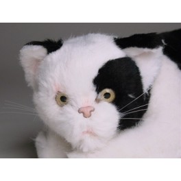 http://animalprops.com/519-thickbox_default/nin-black-white-cat-stuffed-plush-animal-display-prop.jpg
