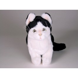 http://animalprops.com/522-thickbox_default/humphrey-black-white-cat-stuffed-plush-animal-display-prop.jpg