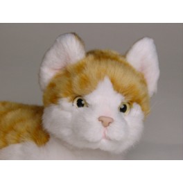 http://animalprops.com/525-thickbox_default/napoli-red-white-cat-stuffed-plush-animal-display-prop.jpg