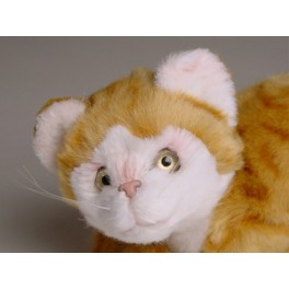http://animalprops.com/539-thickbox_default/fiona-red-white-cat-stuffed-plush-animal-display-prop.jpg