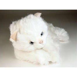 http://animalprops.com/542-thickbox_default/bass-white-cat-stuffed-plush-animal-display-prop.jpg