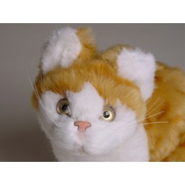 http://animalprops.com/548-thickbox_default/raggles-red-white-cat-stuffed-plush-animal-display-prop.jpg