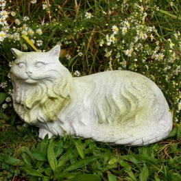 http://animalprops.com/562-thickbox_default/camilla-cat-statue-decorative-animal-display-prop.jpg
