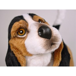 http://animalprops.com/599-thickbox_default/beardsley-basset-hound-dog-stuffed-plush-animal-display-prop.jpg