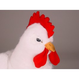 http://animalprops.com/61-thickbox_default/penny-white-plush-stuffed-hen.jpg