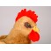 Henny Brown Plush Stuffed Hen