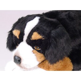 http://animalprops.com/654-thickbox_default/netti-bernese-mountain-berner-dog-stuffed-plush-animal-display-prop.jpg