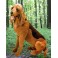 Pluto Bloodhound Dog Stuffed Plush Animal Display Prop