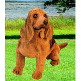 http://animalprops.com/667-thickbox_default/old-druid-bloodhound-dog-stuffed-plush-animal-display-prop.jpg