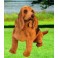Old Druid Bloodhound Dog Stuffed Plush Animal Display Prop