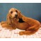 Stretch Bloodhound Dog Stuffed Plush Animal Display Prop