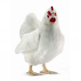 http://animalprops.com/67-thickbox_default/plush-stuffed-hen-chicken-prop.jpg