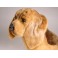 Copper Bloodhound Dog Stuffed Plush Animal Display Prop