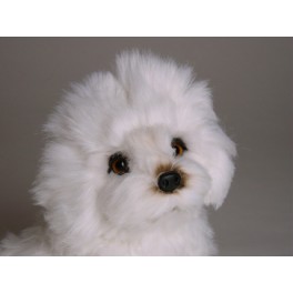 http://animalprops.com/673-thickbox_default/ghita-bolognese-dog-stuffed-plush-animal-display-prop.jpg