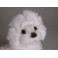 Ghita Bolognese Dog Stuffed Plush Animal Display Prop