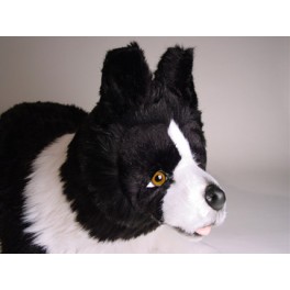 http://animalprops.com/679-thickbox_default/noble-border-collie-dog-stuffed-plush-animal-display-prop.jpg
