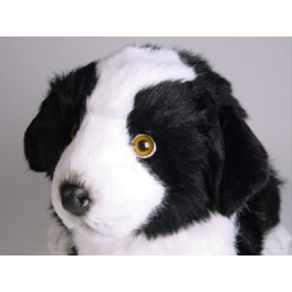 http://animalprops.com/685-thickbox_default/sharp-border-collie-dog-stuffed-plush-animal-display-prop.jpg