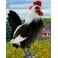 Sir Big Spur Plush Stuffed Rooster