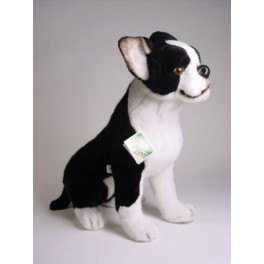 http://animalprops.com/700-thickbox_default/bean-boston-terrier-dog-stuffed-plush-animal-display-prop.jpg
