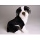 Rhett Boston Terrier Dog Stuffed Plush Animal Display Prop