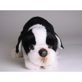 http://animalprops.com/704-thickbox_default/elvis-boston-terrier-dog-stuffed-plush-animal-display-prop.jpg